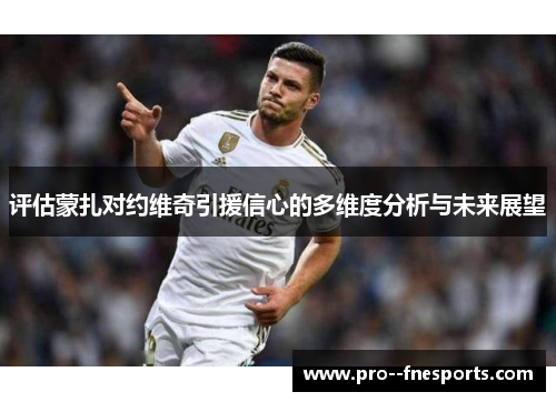 评估蒙扎对约维奇引援信心的多维度分析与未来展望